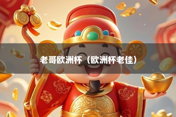 老哥欧洲杯（欧洲杯老佳）