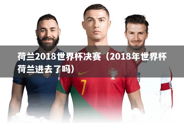 荷兰2018世界杯决赛（2018年世界杯荷兰进去了吗）