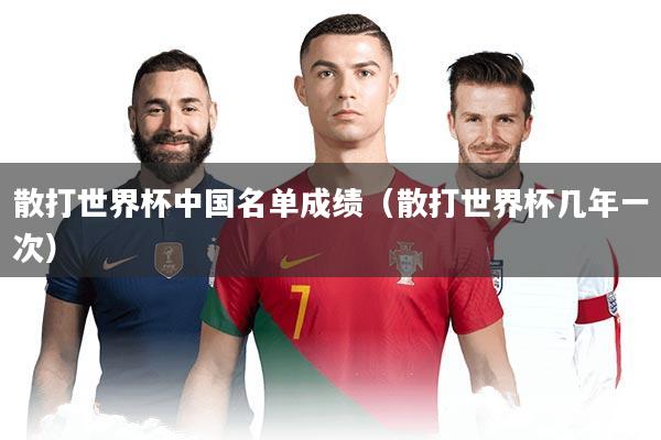 散打世界杯中国名单成绩（散打世界杯几年一次）